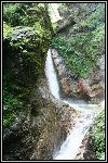 img_1258.jpg