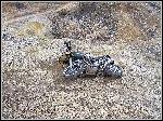 IMG_8612s2.JPG