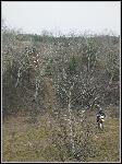 IMG_8665.JPG