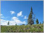 IMG_3685.JPG